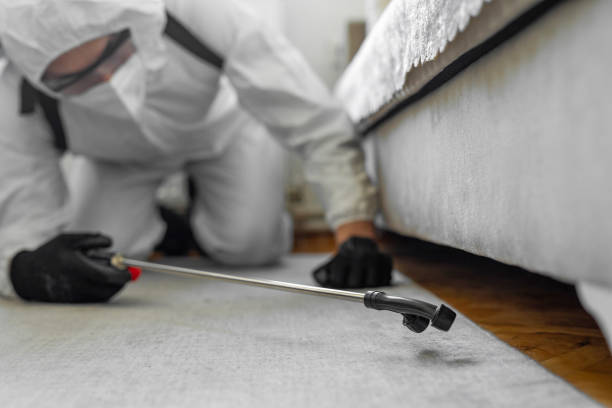 Professional Termite Control technician working in Oakland, MO
