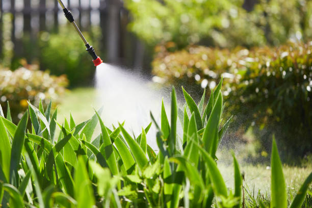 24/7 Emergency Termite Control experts in Oakland, MO