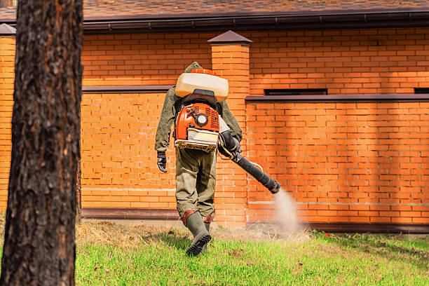 Top rated local Termite Control specialists in Oakland, MO